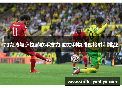加克波与萨拉赫联手发力 助力利物浦迎接胜利挑战
