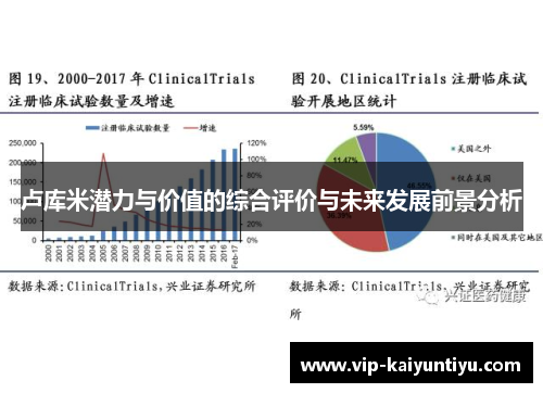 卢库米潜力与价值的综合评价与未来发展前景分析