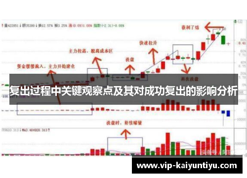 复出过程中关键观察点及其对成功复出的影响分析