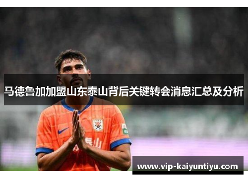 马德鲁加加盟山东泰山背后关键转会消息汇总及分析