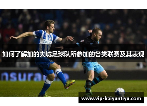 如何了解加的夫城足球队所参加的各类联赛及其表现 如何了解加的夫城足球队所参加的各类联赛及其表现