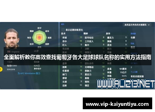 全面解析教你高效查找葡萄牙各大足球球队名称的实用方法指南 全面解析教你高效查找葡萄牙各大足球球队名称的实用方法指南